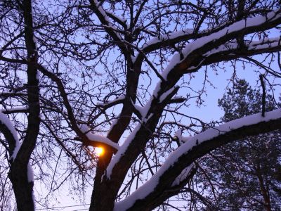 Зимний вечер
Ещё на улице сильно не стемнело, и всё вокруг становится загадочным и сказочным
