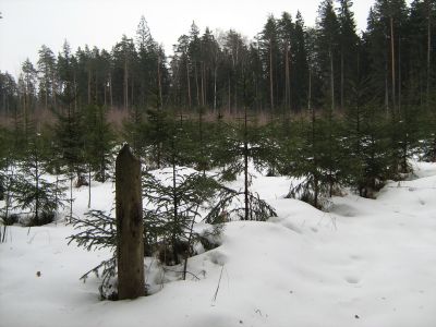 Дорога на памятник разведчикам
