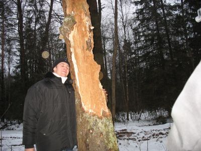 Старое мертвое дерево и Илья
Обратите внимание на несколько "вспышек" на этой фотографии
