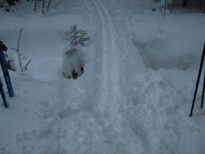 В лес на лыжах
А вот и мостик, к которому планировался наш поход на лыжах.
