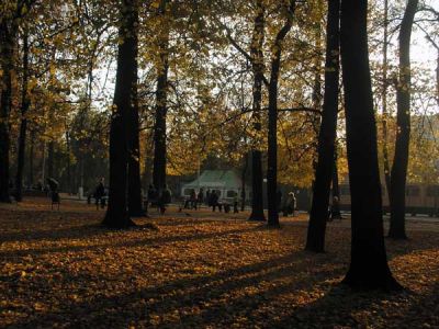 Гордской парк. Осень
