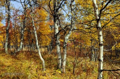 Фото красивая осень
Фото красивая осень - http://art-assorty.ru/163-foto-krasivaya-osen.html
Ключевые слова: Фото красивая осень
